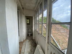 photo6