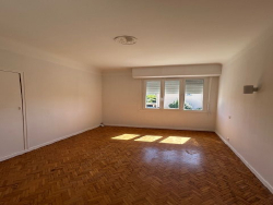 photo6