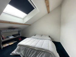 photo8