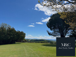 vue-panoramique