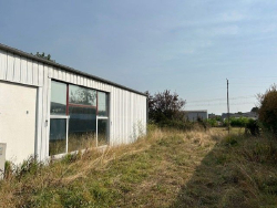 photo4