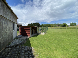 photo15