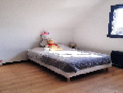photo6