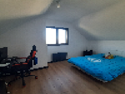 photo7