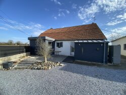 photo10