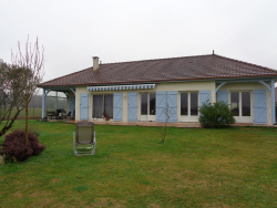 photo11