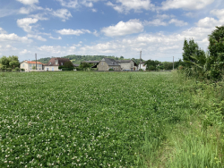 photo5