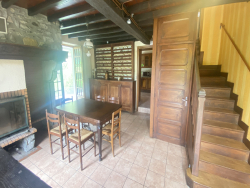 photo11