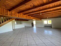 photo8