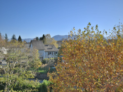 photo28