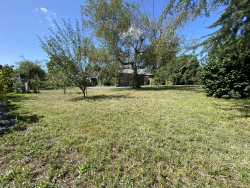 photo4
