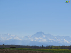 beau-terrain-1ha-ou-6ha-