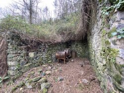 photo2