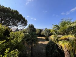 jardin