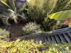 vue-jardin