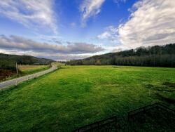 large-welcoming-hallway-wide-staircase