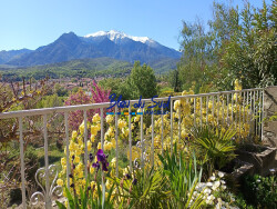 encore-une-vue