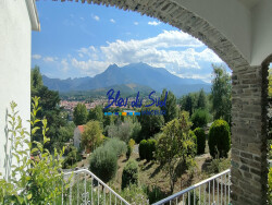 vue-depuis-le-jardin