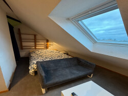 belle-luminosite-dans-l-appartement