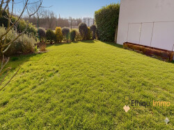 image-generee-par-ia-