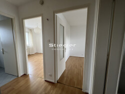 piece-2