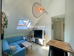 salon-sejour