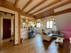 grand-salon-sejour