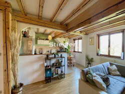 grand-salon-sejour