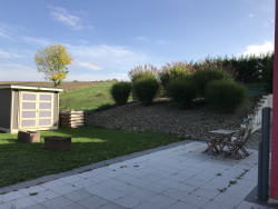 photo-1
