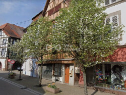 sejour-du-rez-de-chaussee