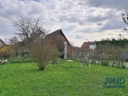 jardin-arriere-