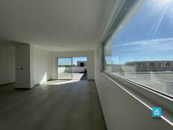 suite-parentale-