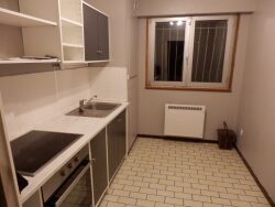 hall-entre-avec-2-placards-