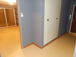 hall-entree-vue-sur-wc-separe-
