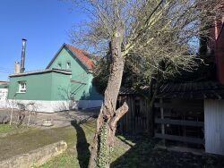 autre-vue-depuis-l-arriere-du-jardin