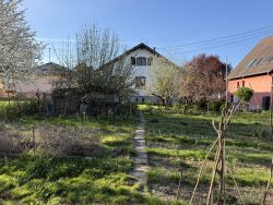 jardin-borde-d-autres-jardins