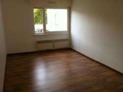 photo-8