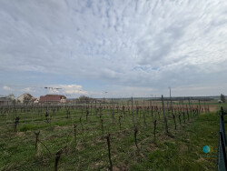 piece-de-vie