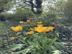 jardin-aux-abords-du-canal