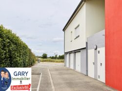 proche-des-champs-de-sausheim-68390