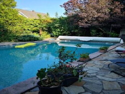 jardin-arbore