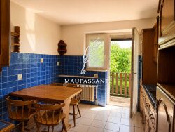 balcon-cuisine-figuier