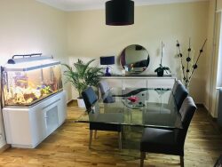 cuisine-equipee-acces-terrasse