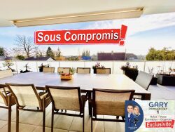 terrasse-acces-entree-principale