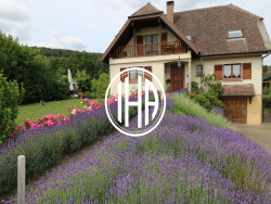 piscine-naturelle-oltingue