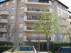 jardin-
