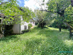 cours-cote-est