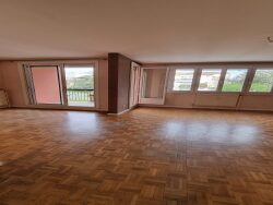 salon-salle-a-manger