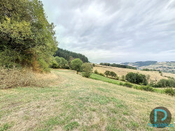 terrain-vue-3