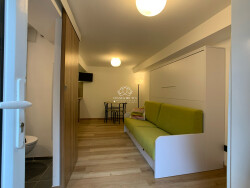 piece-a-vivre-avec-canape-escamotable-